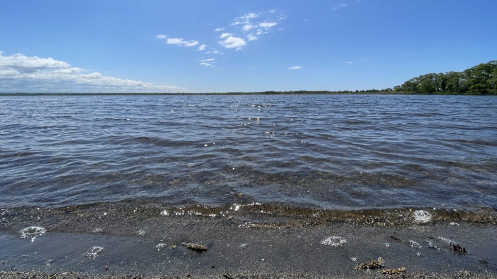 ウトナイ湖