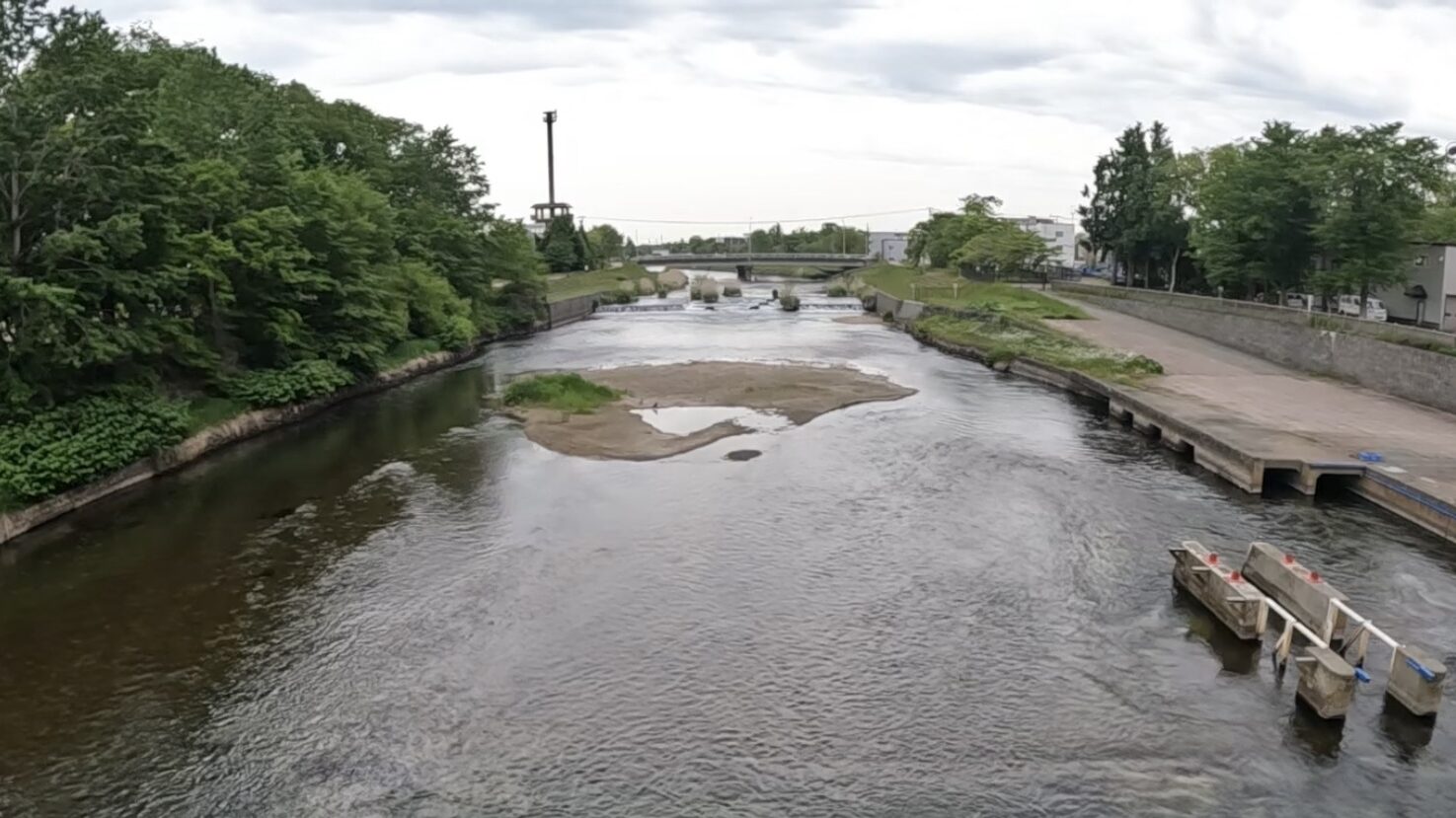 千歳川